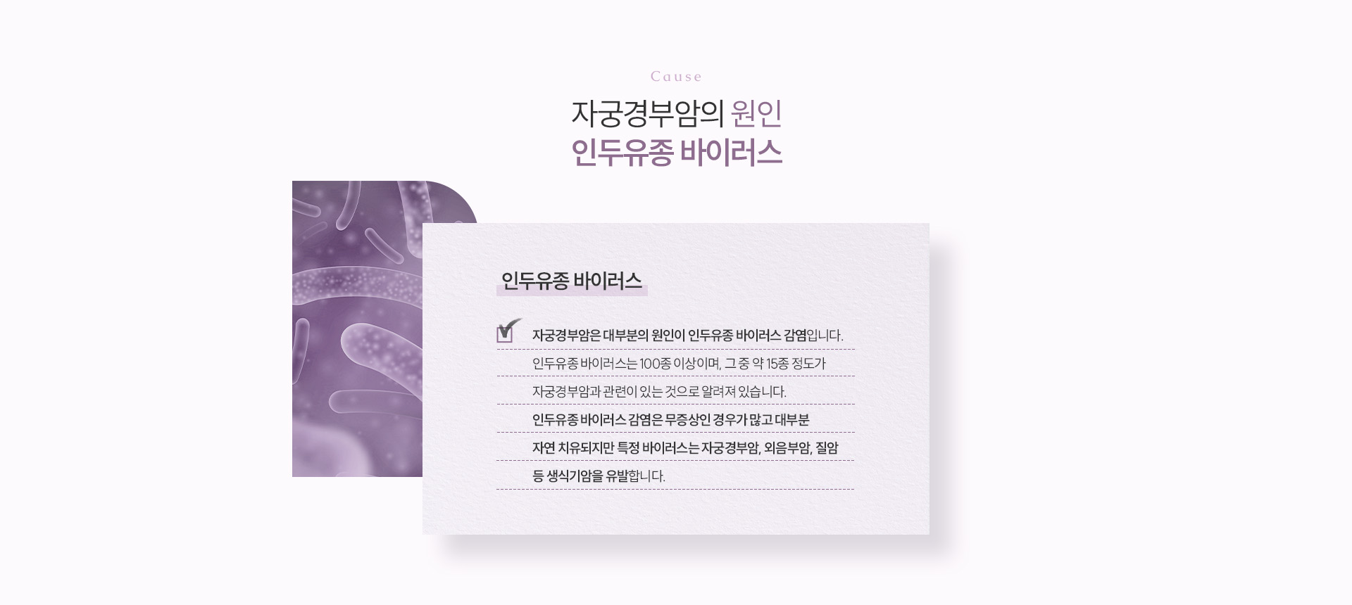 자궁경부암 상세02