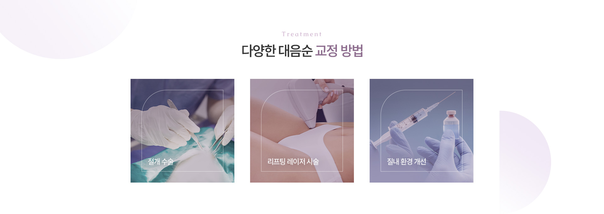 대음순성형 상세05